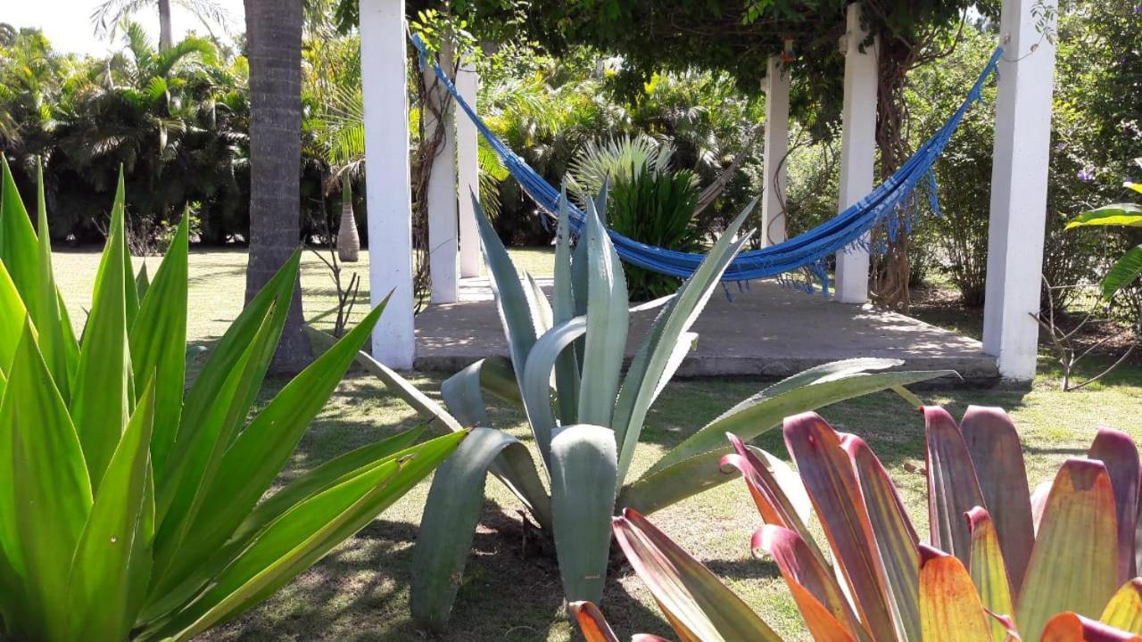 Capri Hotel Sao Francisco do Sul Dış mekan fotoğraf